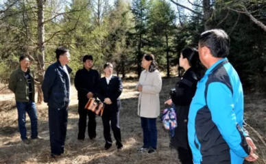 内蒙古大兴安岭重点国有林管理局完成国家林业局林木种子质量抽检受检工作